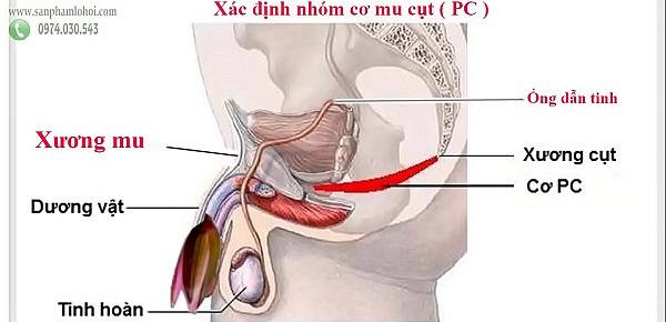  Bài tập Kegel tăng chiều dài dương vật, thời gian quan hệ